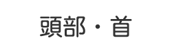 頭部・首
