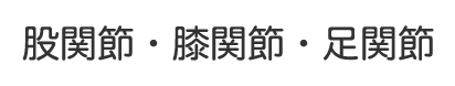 股関節・膝関節・足関節